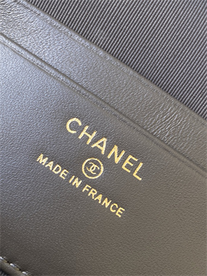 Chanel Vanity With Chain Shinny Lambskin , Strass & Gold-Tone Metal Dk Grey AP4804