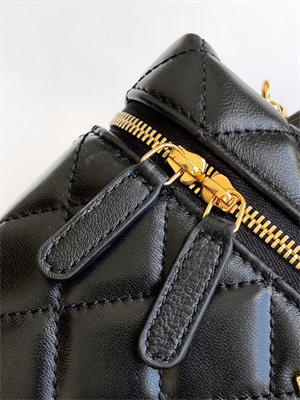 Chanel Vanity With Chain Shinny Lambskin , Strass & Gold-Tone Metal Black AP4804