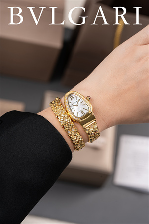 Bvlgari Spiga Lady Watch 38917 Color options