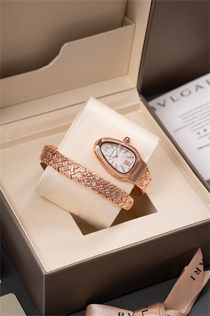 Bvlgari Spiga Lady Watch 38918 Color options