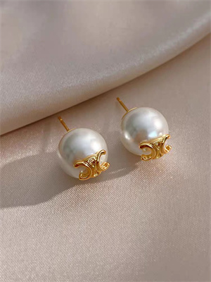 Celine Earrings 39089