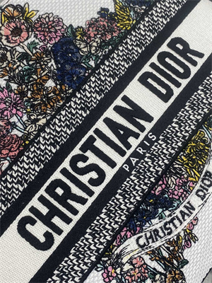 CD Medium Lady D-Lite Bag  Embroidery White Multicolors