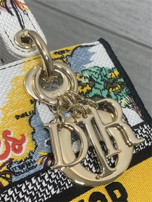 CD Medium Lady D-Lite Bag  Embroidery White/Yellow Multicolors