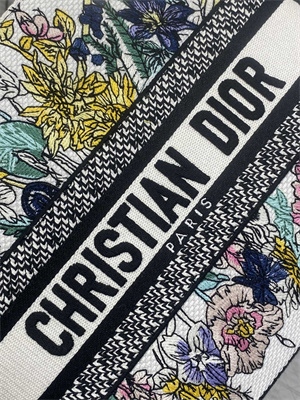 CD Medium Lady D-Lite Bag  Embroidery White Multicolors