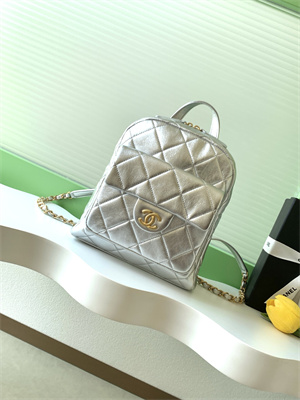 Chanel Backpack Calfskin Gold Tone Metal Silver AS5793