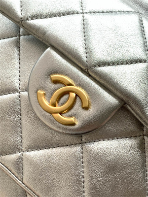 Chanel Backpack Calfskin Gold Tone Metal Silver AS5793