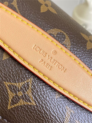 L.V Rush Bumbag Monogram Canvas M14019