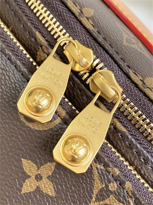 L.V Rush Bumbag Monogram Canvas M14019