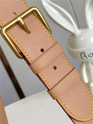 L.V Rush Bumbag Monogram Canvas M14019